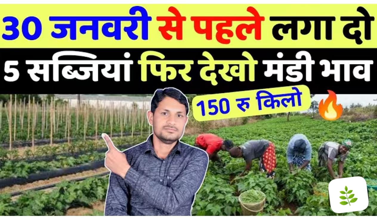 30 जनवरी से पहले लगाएँ